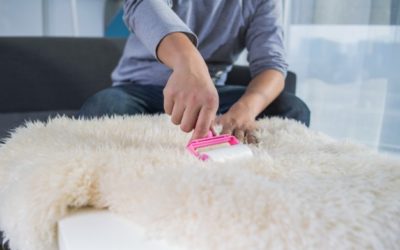 Simple Ways on How to Clean Carpet by Hand