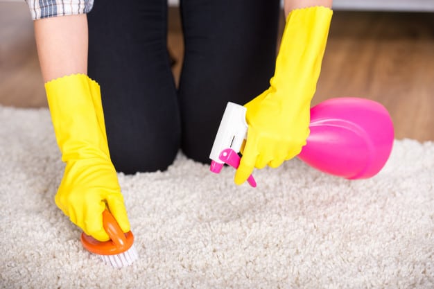 Advantages and Disadvantages  of Carpet Cleaning
